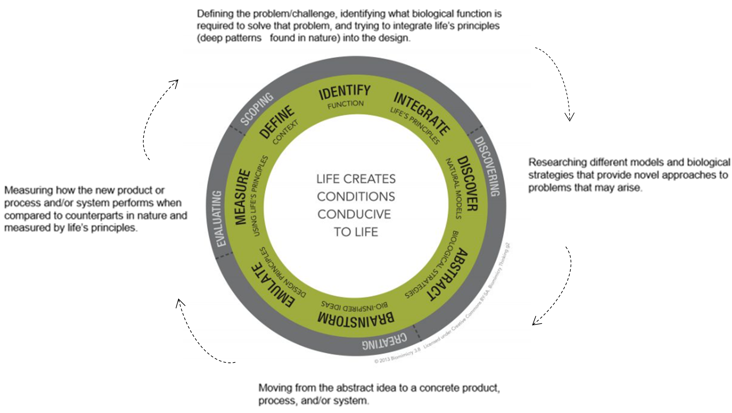 How Biomimicry Can Lead To Innovative And Resilient Business Solutions